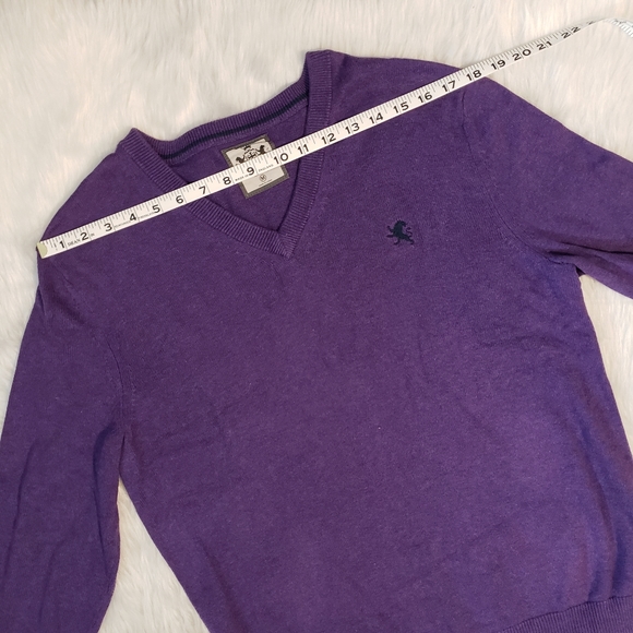 Express Mens V-Neck Purple Long Sleeve Sweater - Picture 8 of 11